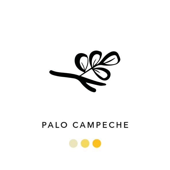 PALO CAMPECHE 24