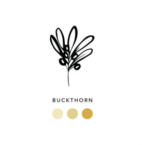 Natural_dyes_buckthorn_ 005