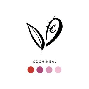Natural_dyes_cochineal_008