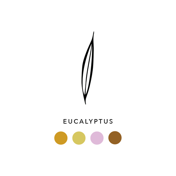 Natural_dyes_eucalyptus_009