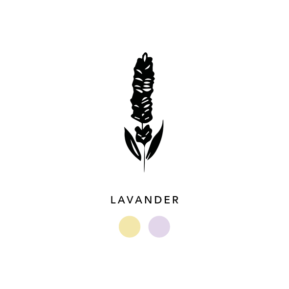 Natural_dyes_lavender_ 016