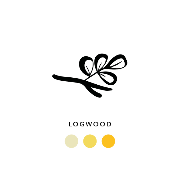 Natural_dyes_logwood_017
