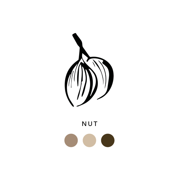 Natural_dyes_nut_019